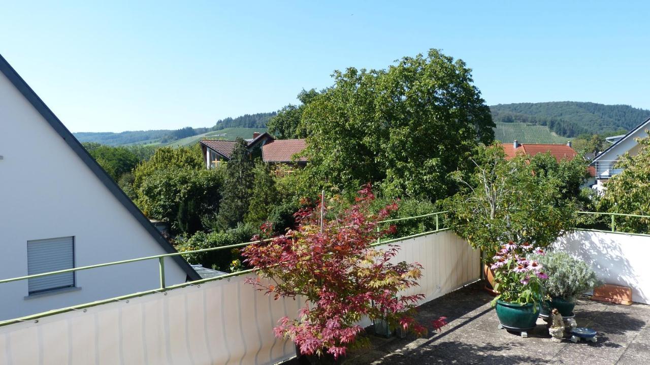 Eifelidylle Am Moselmaareradweg Appartement Wittlich Buitenkant foto